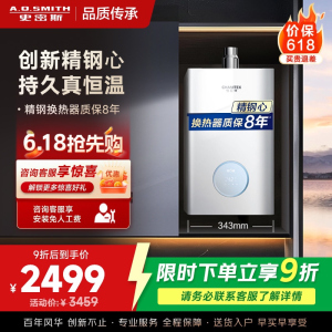 AO史密斯佳尼特16升燃气热水器佳尼特 小体积 不锈钢换热器8年包换 恒温大水量 抗风防冻 JSQ31-TCA1