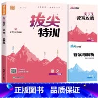 [单本]语文(人教版) 一年级下 [正版]三年级下册拔尖特训一年级二年级四五六年级上册语文数学英语人教版pep北师大苏教