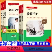 [七上必读+选读6本](赠名著导练) 七年级/初中一年级 [正版]名校课堂朝花夕拾鲁迅七年级必读书和西游记原著完整版初中