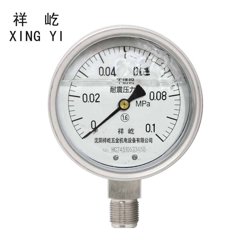 祥屹 不锈钢耐震压力表检测定制型 YTN100BF 块