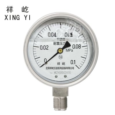 祥屹 不锈钢耐震压力表检测定制型 YTN100BF 块