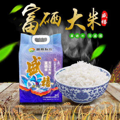 盛禧-东北大米特产正宗方正富硒大米10斤真空包装2020年新米一级长粒香米大米5kg方正大米原产地厂家直供非五常5kg
