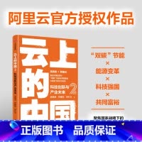 [正版]云上的中国2 科技创新与产业未来 吴晓波等著 阿里云作品 数字经济 云服务 企业上云 数字化转型出版