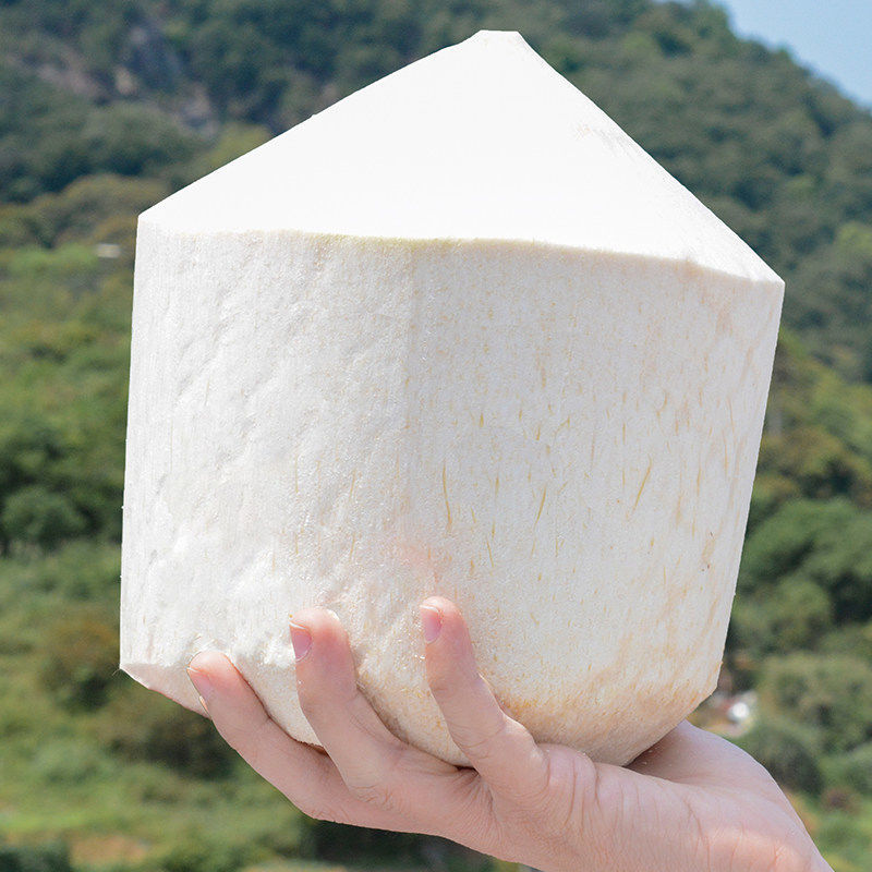 [只发泰国货]正宗奶香椰青 椰子新鲜水果批发赠开椰器吸管 4个[手工