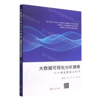 [N]大数据可视化分析建模(人人都是数据分析师)-9787302619116