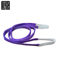 顺心捷 扁平吊装带 1T2M 个