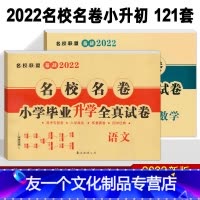 [友一个正版]2022 小升初真题卷 语文数学 名校名卷小学毕业升学全真试卷共2本 六年级毕业升学真题详解 小考重点小