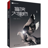 音像盲侠大律师冯栖潼,方春雨 著