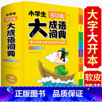 大成语词典 [正版]抖音同款 2023小学生大成语词典小学多功能大全四字版彩图字典小学大词典多功能现代汉语词语儿童大字典