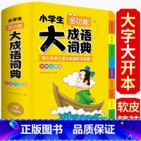 大成语词典 [正版]抖音同款 2023小学生大成语词典小学多功能大全四字版彩图字典小学大词典多功能现代汉语词语儿童大字典