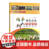 肉羊绿色高效养殖技术