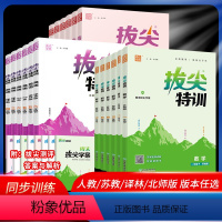 语文+数学+英语[人教版] 三年级下 [正版]2024版 通城学典拔尖特训一年级二年级三年级四年级五年级六年级上下册语文