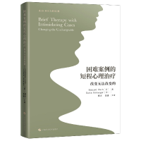 音像困难案例的短程心理治疗(改变无法改变的)(精)理查德·菲什