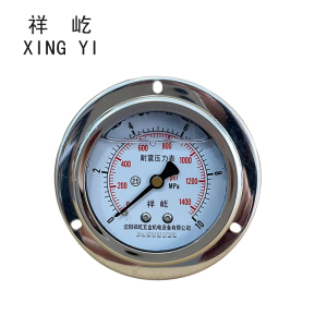 祥屹 耐震压力表(轴向带边) YN60ZT 块