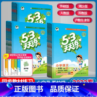 语文 人教版RJ 五年级下 [正版]2023春季 53天天练小学一1二2三3四4五5六6年级下册语文数学英语人教版苏教版