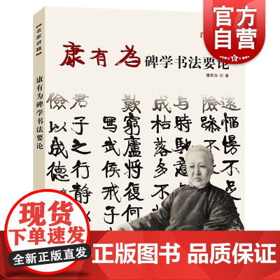 康有为碑学书法要论 上海人民美术出版社正版书籍
