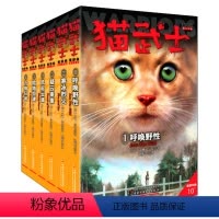 猫武士首部曲-全6册 [正版]猫武士首部曲全套6册第一部曲呼唤野性寒冰烈火疑云重重风起云涌/险路惊魂力挽狂澜动物故事小说
