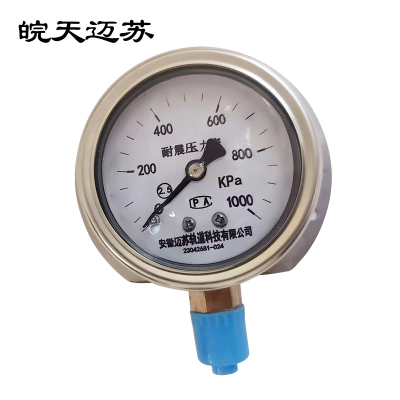 皖天迈苏YN-60耐震压力表带边2.5级0-1000KPA