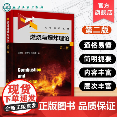 燃烧与爆炸理论 第二版 燃烧爆炸燃烧性危险物质特征 燃烧爆炸后果分析 高等院校化工安全工程教材 消防工程从业者参考书