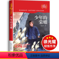 少年的荣耀 [正版]少年的荣耀 书小学生红色经典书籍传统文化革命爱国主义教育故事书老师三必四六五年级读的课外书抗日英雄人