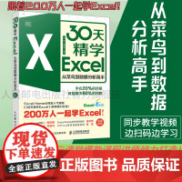 [店]30天精学Excel 从菜鸟到数据分析高手ExcelHome表格制作教程函数公式大全财务从入门到精通处理透视表应用