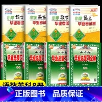 (语数英科)小升初毕业总复习全解+毕业考试 小学六年级 [正版]孟建平小升初毕业升学总复习真题卷2024语文数学英语科学