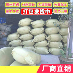 美帮汇土工布毛毡大棚保温保湿毛毯绿化工程布公路养具毯黑