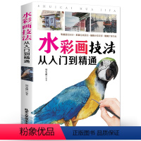 [正版]水彩画技法 从入门到精通 零基础水彩画入门教程 书籍 专业基础知识 细致步骤详解 北京工艺美术出版社