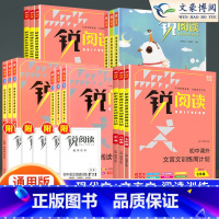 语文阅读训练五合一 七年级/初中一年级 [正版]锐阅读初中语文阅读训练五合一七年级八年级九年级中考现代文阅读理解训练10