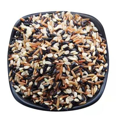 新米东北黑米黑糯米糙米农家杂粮黑香米无染色三色米5斤