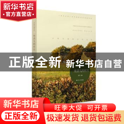 正版 一座消失的村庄 苏宁著 江苏人民出版社 9787214127525 书籍