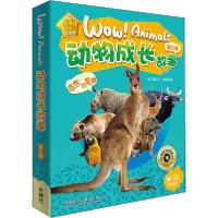 正版新书]动物成长故事.第3辑(全6册)(澳)丽贝卡·约翰逊 著 顾海