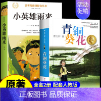 [全2册]青铜葵花+小英雄雨来 [正版]青铜葵花曹文轩原著完整版 江苏凤凰少年儿童出版社四年级下册阅读课外书必读的书目与