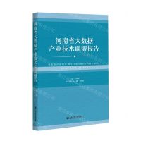 [N]河南省大数据产业技术联盟报告-9787520181433
