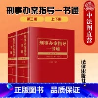 [正版] 2022新版 刑事办案指导一书通 第三版第3版 上下册 丁银舟 刑事法理论应用教科书刑事法律司法解释条文理解