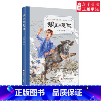 [正版]中国名家动物小说精品 全5册 神农架探秘蛇岛上的秘密人蚁大战寻找东北虎狼王的复仇 青少年课外读物 华东师范大学