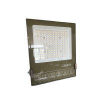 盛王盛荣 固定式LED投光灯