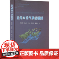 [新华]盆地与油气系统模拟 郭秋麟 等 正版书籍 店 石油工业出版社