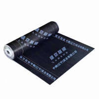 盛京联硕 改性沥青防水卷材 4.0mm -25° 平方米