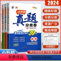 [2本]语文+数学 小学升初中 [正版]2024新版小升初真题分类卷语文数学英语考进名校必做的39套真题卷必刷题人教版六