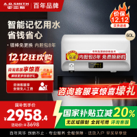 AO史密斯60升电热水器 专利免更换镁棒 金圭内胆 全隐藏安装 大屏触控 双驱速热节能 E60EDX 遥控预约