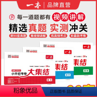 [3本]套装 小学升初中 [正版]2024小升初总复习试卷 小学毕业升学考卷大集结 语文数学英语小升初真题试卷小学毕业升