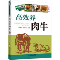 高效养肉牛(高效养殖致富直通车)