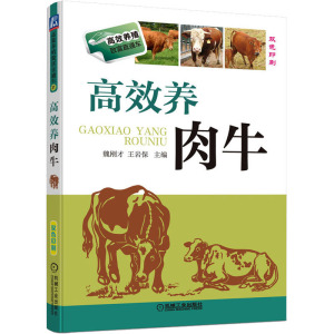高效养肉牛(高效养殖致富直通车)