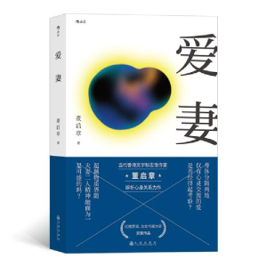 正版新书]爱妻董启章 后浪9787510893339