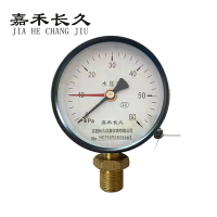 嘉禾长久 水压压力表检测定制型 Y100 块