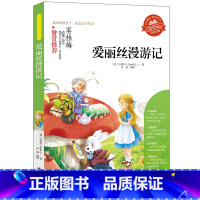 爱丽丝漫游奇境记 [正版]小学生骆驼祥子呼兰河传童年增广贤文中外神话故事昆虫记假如给我三天光明绿山墙的安妮柳林风声中国古