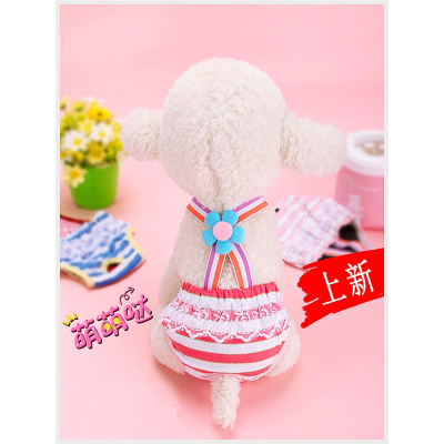 狗狗生理裤女米妮狗柯基泰迪小狗卫生巾法斗小型犬内裤大姨妈裤