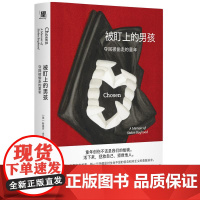 被盯上的男孩夺回被偷走的童年 美斯蒂芬米尔斯著 广西师范大学出版社