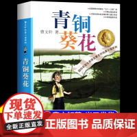 青铜葵花正版曹原著完整版四年级下册阅读课外书纯美小说系列全套江苏少年凤凰儿童出版社五六年级的小学生课外阅读书籍草房子